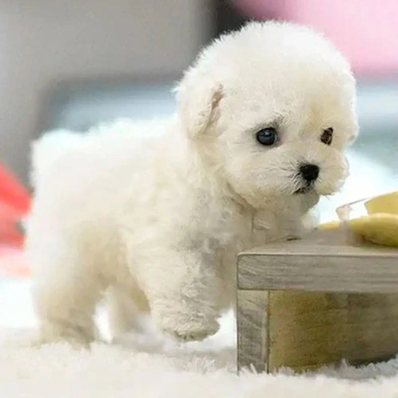 RoboPup – Realistische Robotpuppy Knuffel met Interactieve Functies Velani