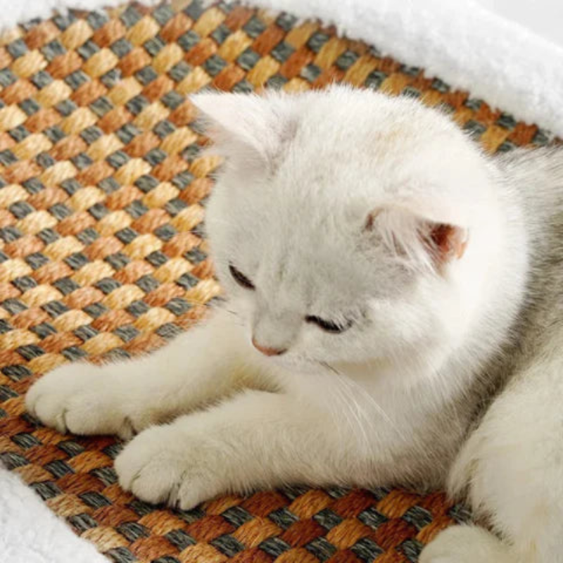 PawHaven – Krabmat Bed voor Katten met Bijtspeeltje Velani
